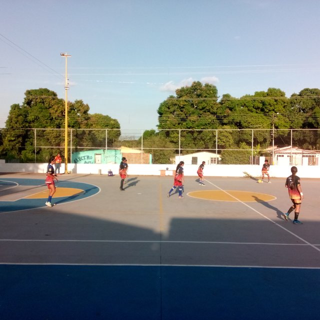 IMG_20250412_171838_478.jpg