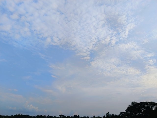 1000093026.jpg