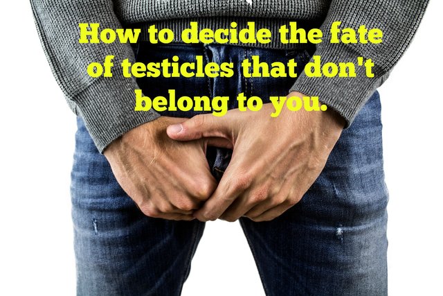 testicles-fate.jpg