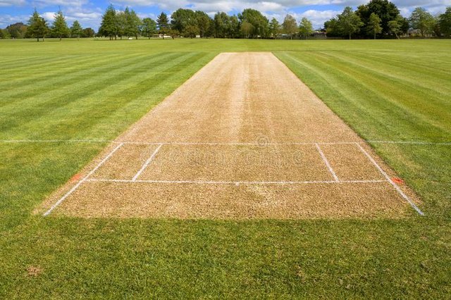 cricket-pitch-sport-grass-field-empty-background-cricket-pitch-sport-grass-field-empty-background-146687259.jpg