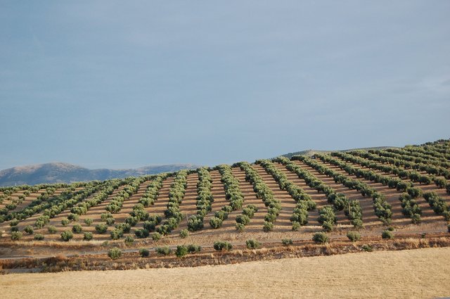 k-DSC_0464.JPG