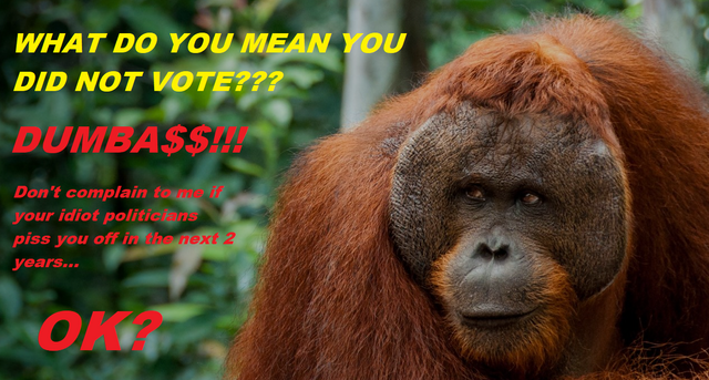 didn't vote monkey.png