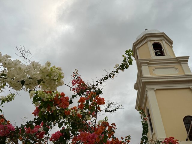 IMG_5640.jpeg