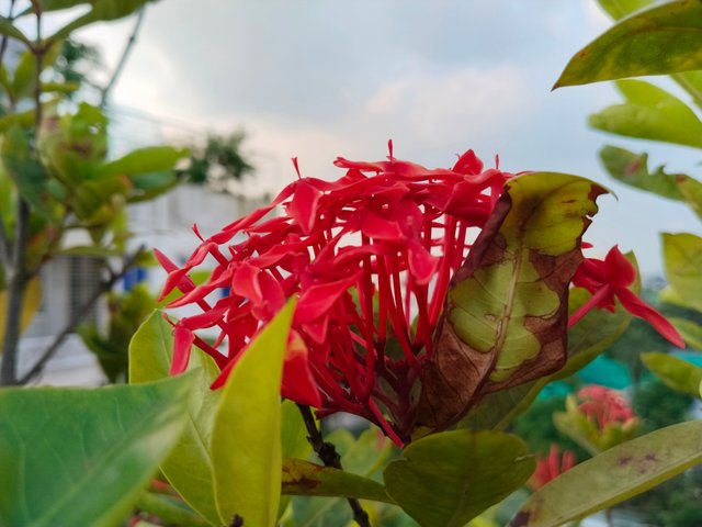 IMG_20250612_174602.jpg