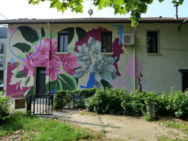 P1000480.JPG