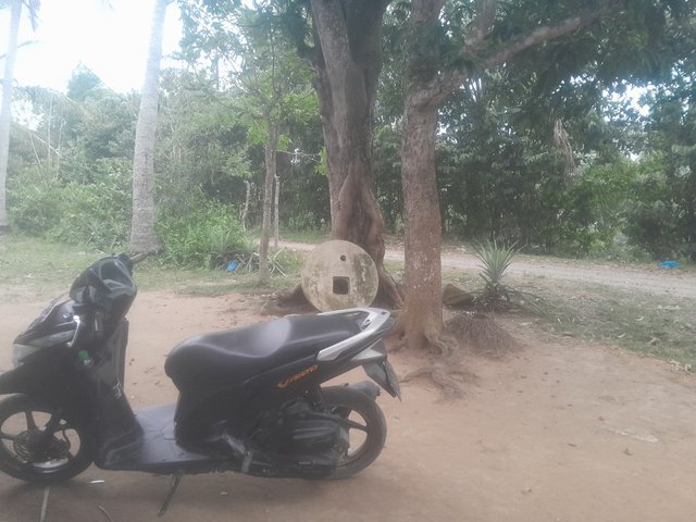 1000016621.jpg