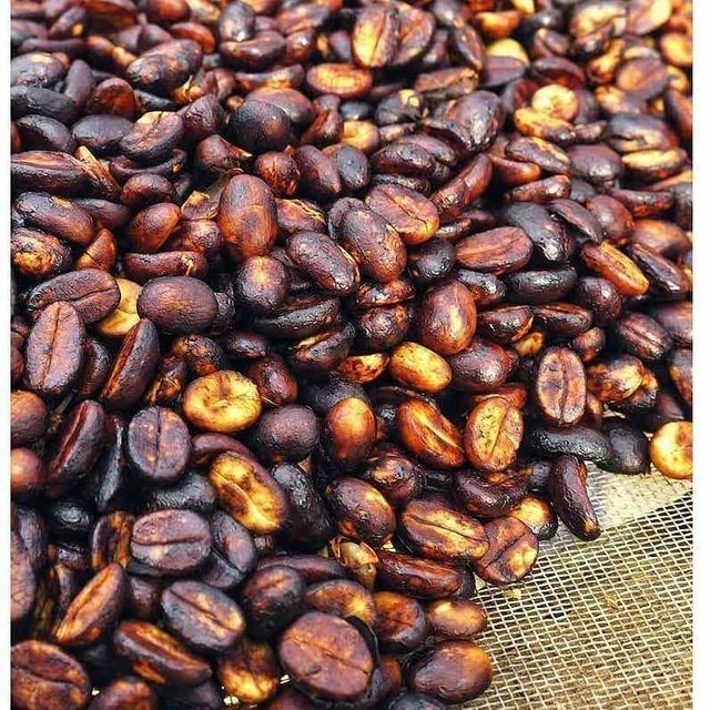 Indonesia-Sumatra-Arabica-Gayo-Manis-Madu-Black-Honey-Coffee-Beans-2.jpg