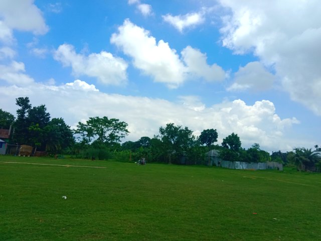 IMG_20250628_192632.jpg