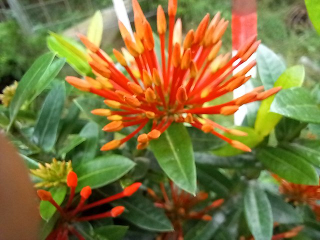 20250619_120741.jpg