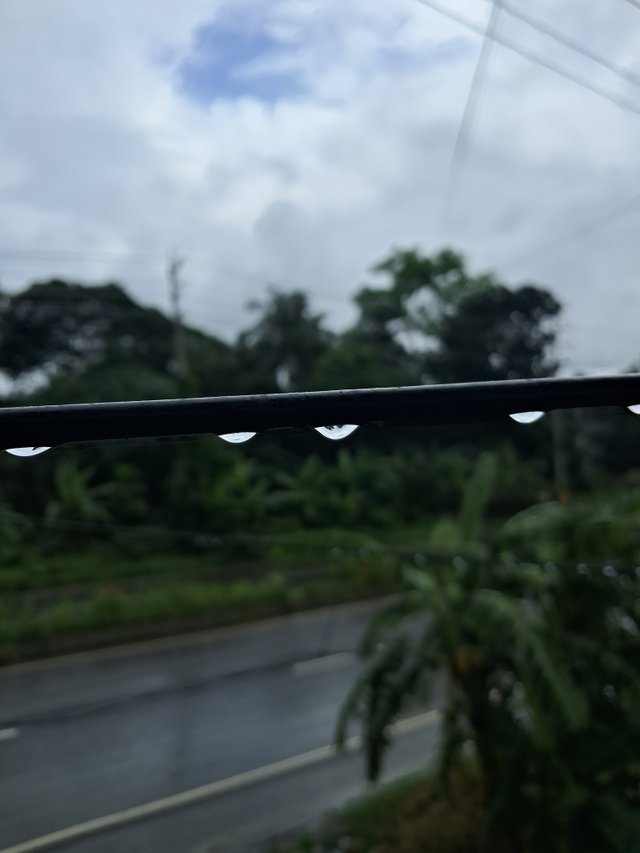 20250705_133531.jpg