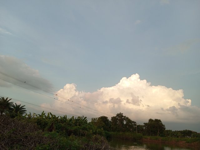 IMG_20240708_183654_271.jpg
