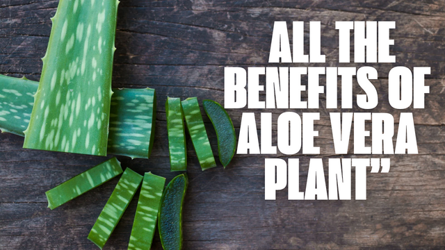 Green and Brown Bold Ayurvedic Aloe Vera YouTube Thumbnail_20250620_200737_0000.png
