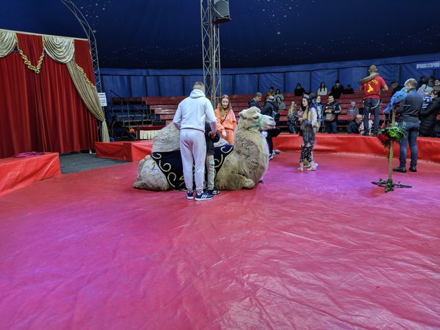 IMG_20211024_133051.jpg