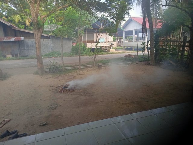 IMG20250805082939.jpg