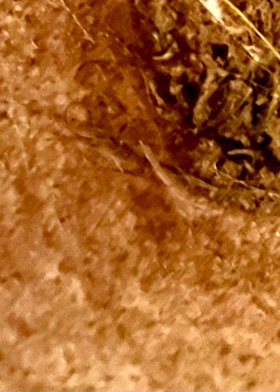 IMG_1427.jpeg