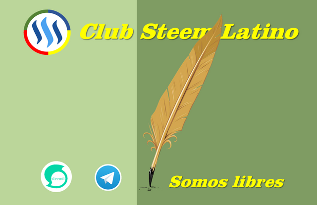 Club Steem Latino 05.png
