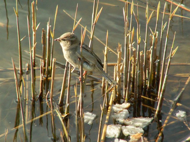 PICT0403.jpg