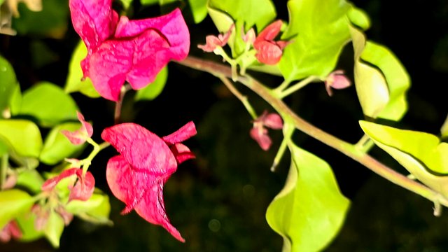 20241210_022025.jpg