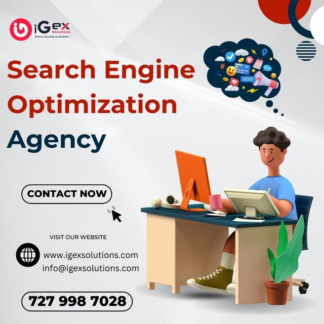 Search Engine Optimization Agency.jpg