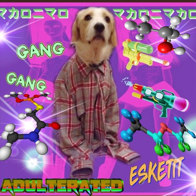 Mac Gang edit.JPG