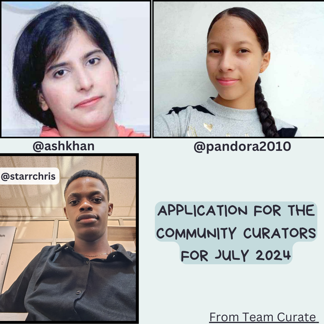 Application for the community curators for July 2024_20240622_104420_0000.png