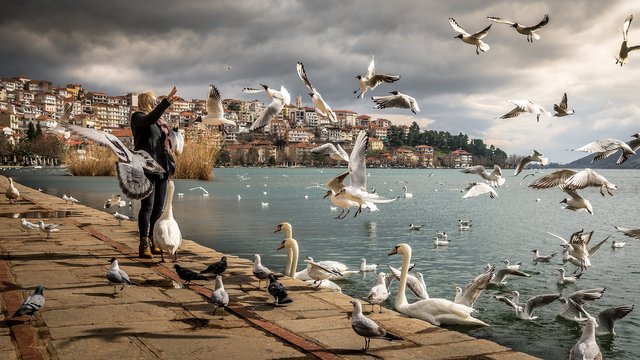 woman-wearing-black-jacket-standing-near-ocean-with-swan-and-760984.jpg