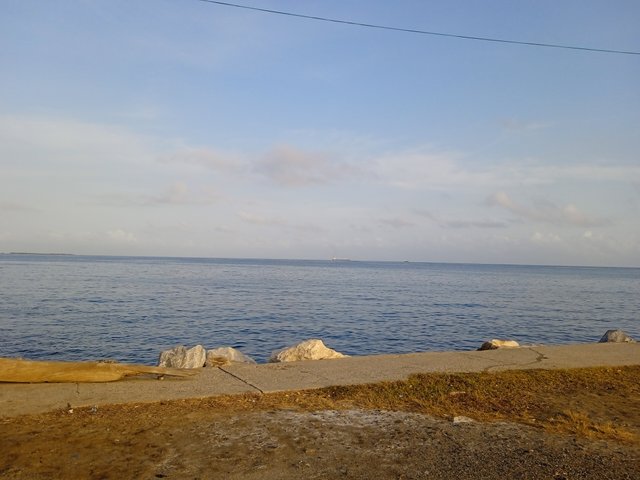 IMG_20250303_073209.jpg