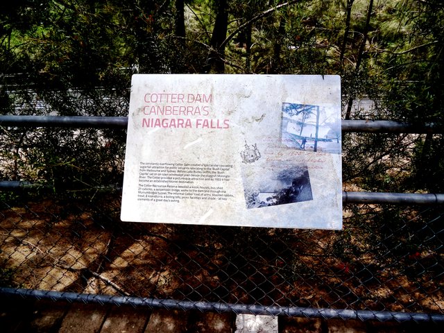 DSC01816.JPG