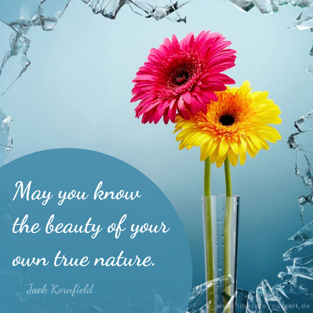 _May you know the beauty of your own true nature.png