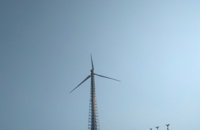 IMG_20250515_200556.jpg