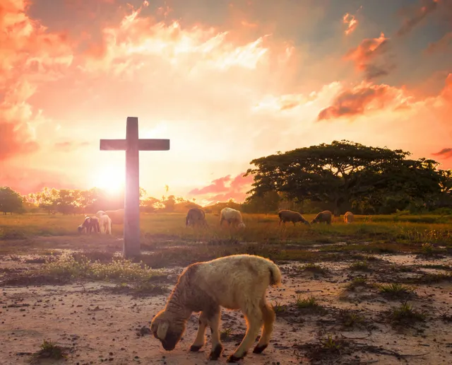 bigstock-resurrection-concept-the-lamb-254877394.webp