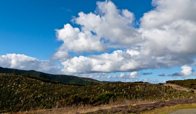 6089930790-at-the-way-to-cape-reinga (FILEminimizer).jpg