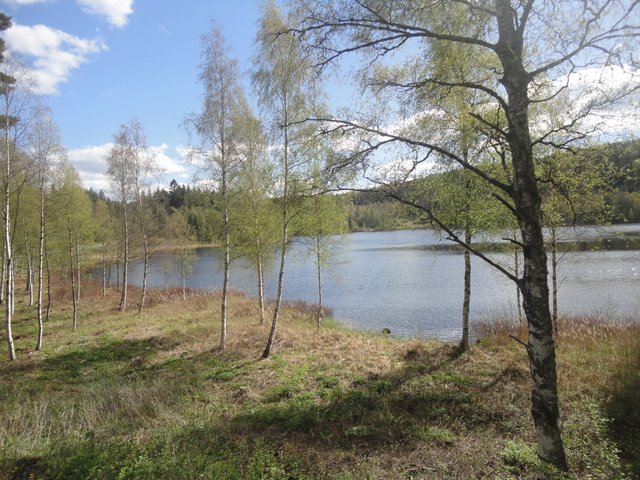 DSC03975.JPG