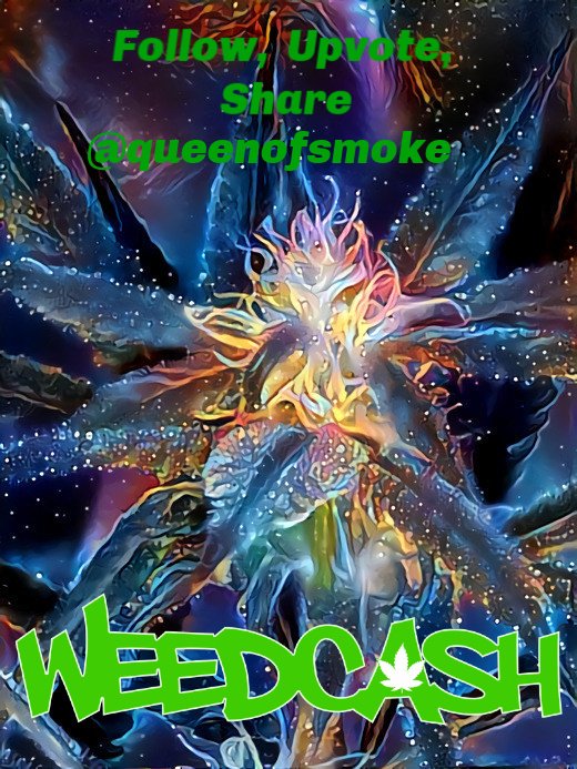 Weedcash follow upvote share.jpg