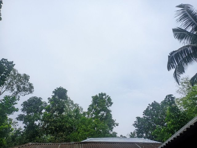IMG_20250615_202359_963.jpg