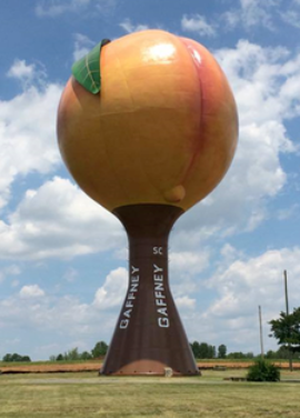 Screenshot_2018-07-14 gaffney peach wikimedia - Google Search.png