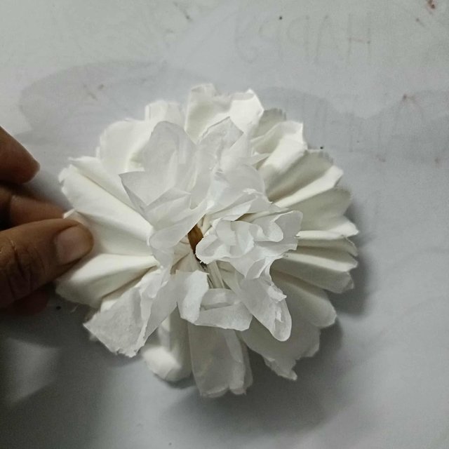 dd4b43d7-02b0-44ac-a228-be49448f14e5.jpeg