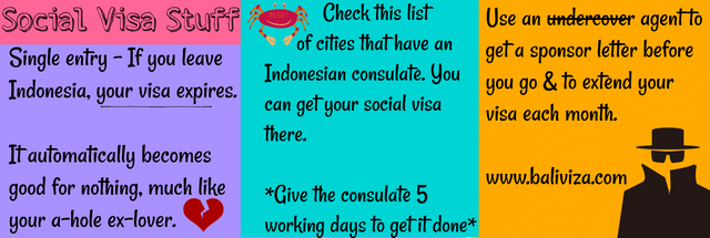 Social Visa Indonesia.png