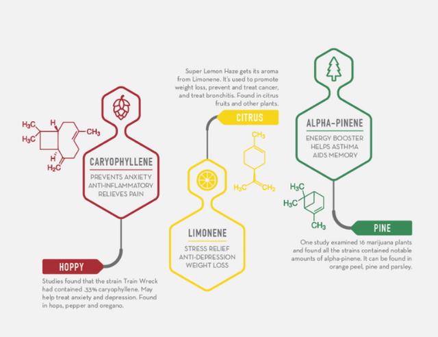 terpenes 2.PNG