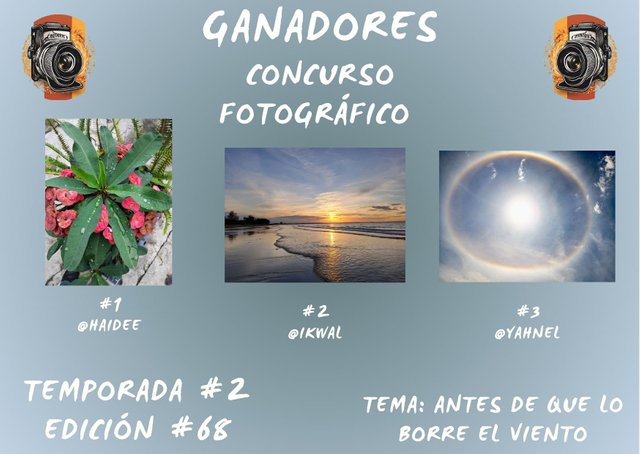 Concurso fotográfico (43).jpg