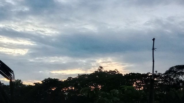 IMG_20250824_095558_516.jpg