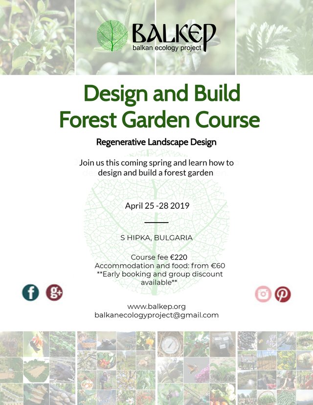 Design and Build - Forest garden Course (2).jpg