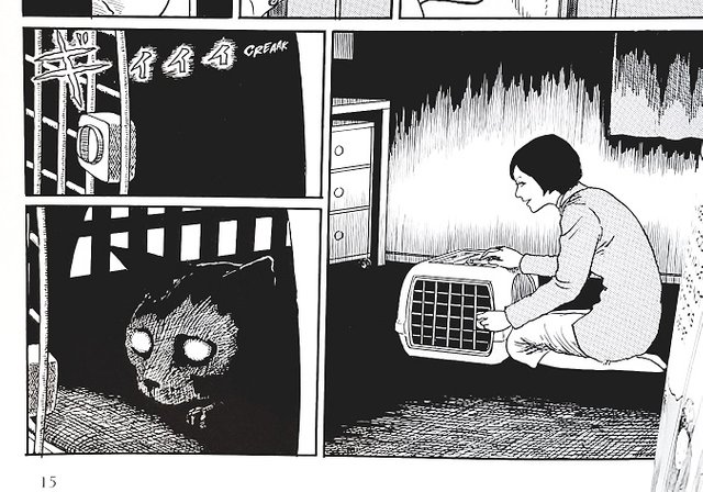 Junji Ito's Cat Diary: Yon & Mu by Ito, Junji