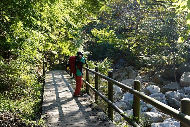 b-DSC01912.JPG