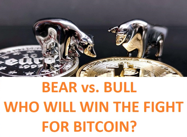 Bitcoin Bull vs Bear small thumbnail.png