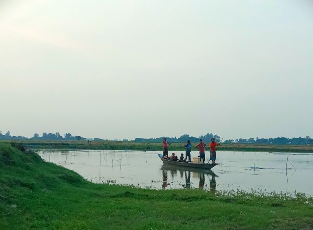 IMG_20250618_074808.jpg