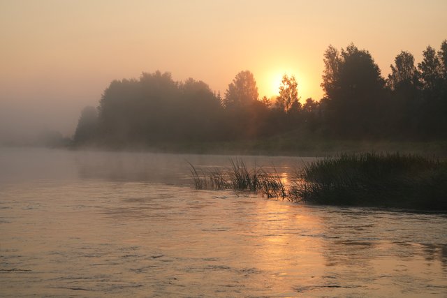 DSC02377.jpg