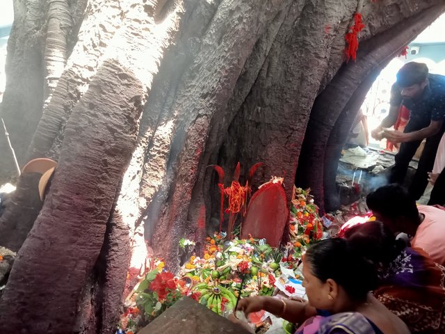 IMG20250908114222.jpg