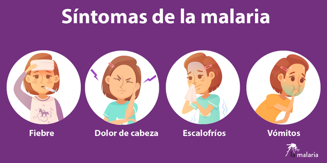 síntomas-malaria.png