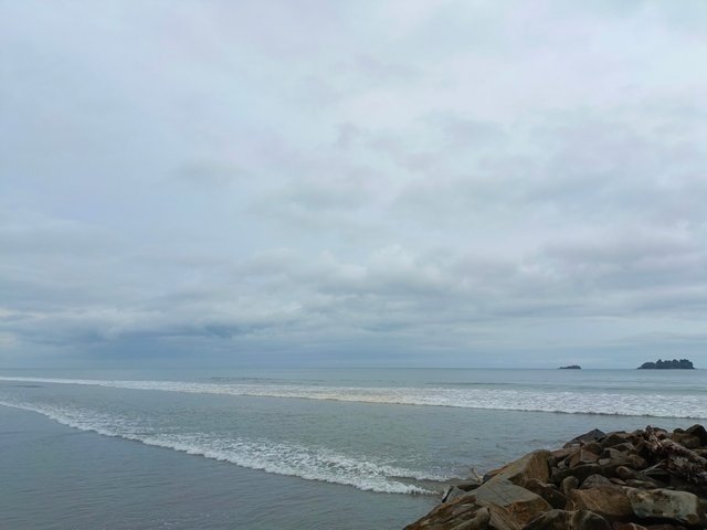 IMG_20240305_095628_829.jpg